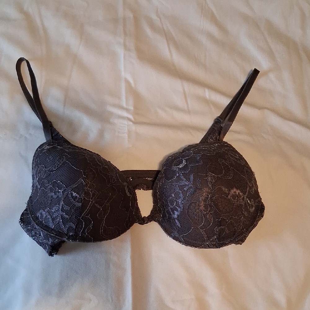 Elegant Purple/Wine Color With Silver Embroidery Lace Bra